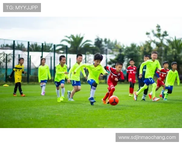 我的足球明星朋友带我走进绿茵场的精彩世界与梦想追逐之旅